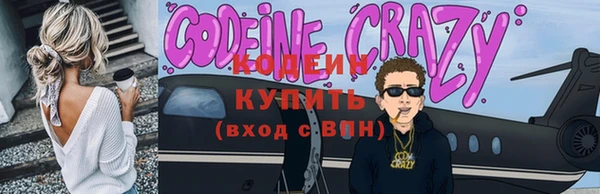 прущие грибы Вяземский