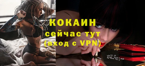 прущие грибы Вяземский