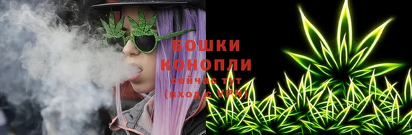 прущие грибы Вяземский