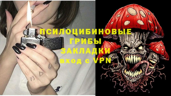 прущие грибы Вяземский