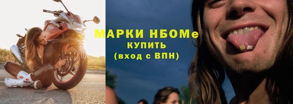 прущие грибы Вяземский