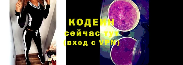 прущие грибы Вяземский