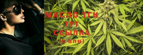 прущие грибы Вяземский
