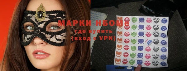 прущие грибы Вяземский