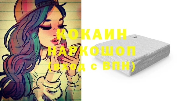 прущие грибы Вяземский